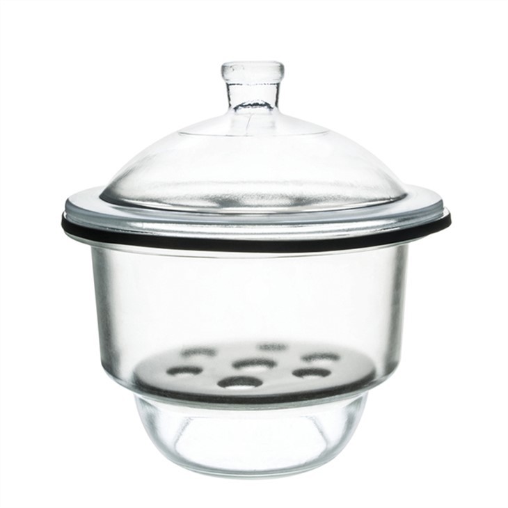 Laboratory Clear Vacuum Desiccator with Ground-in Stopcock and Porcelain Plate