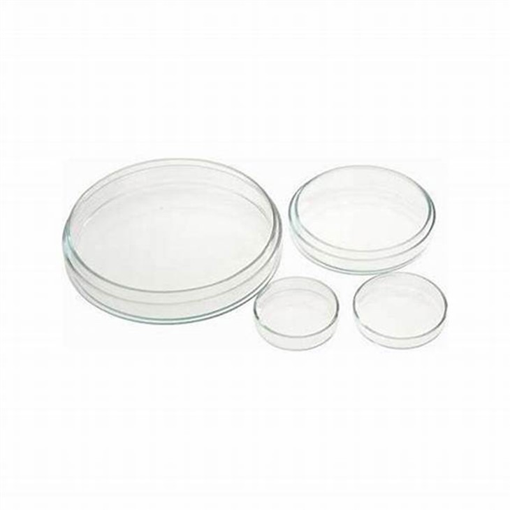 Disposable Plastic Lab Triple Double 90mm Petri Dishes