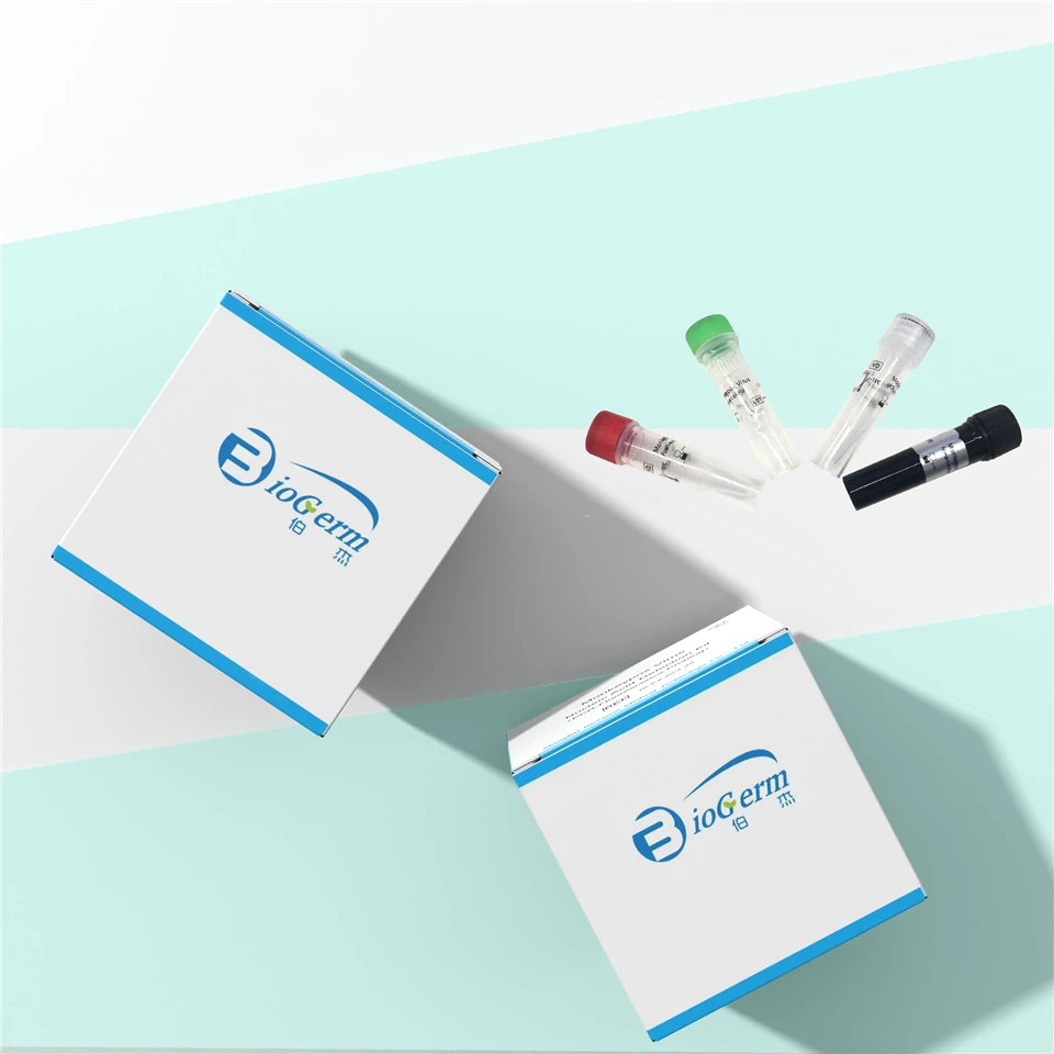 Monkeypox Virus Detection Kit PCR-Fluorescence Probing