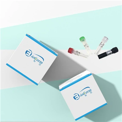 Monkeypox Virus Detection Kit PCR-Fluorescence Probing